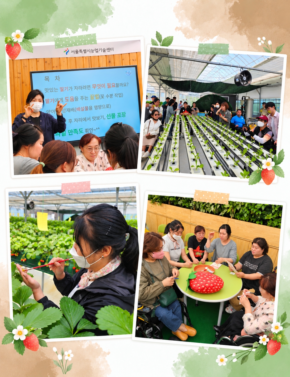 /user/s/szcil/editor/2609/89cb6d67fd23d20a4723a64bade831a6_1790125887_9633.jpg 이미지크게보기